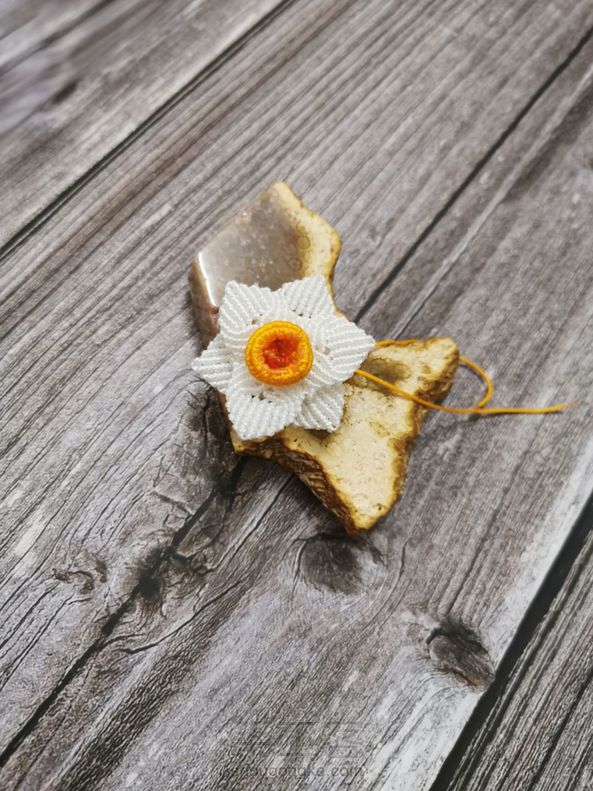 交作业，谢谢教程！ 第2张