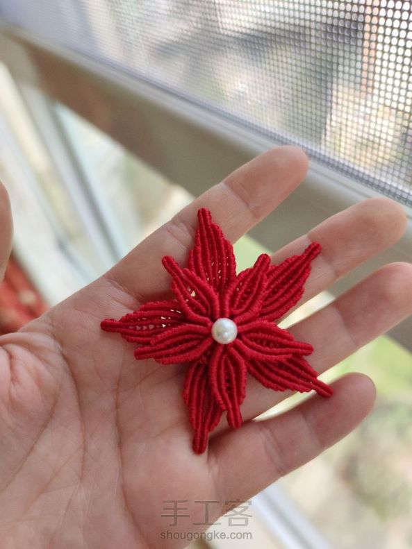 谢谢老师的教程，很美的花花，只是能做成什么呢 第1张