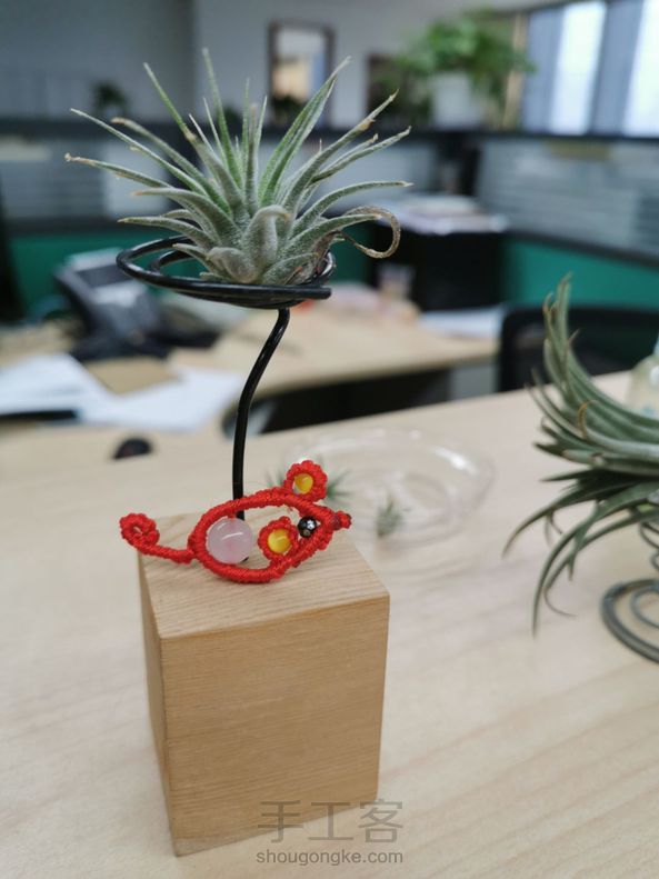 一只疙疙瘩瘩的小老鼠，为什么老师的那样光滑？