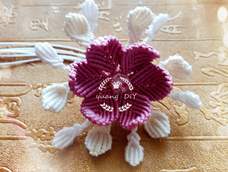 感谢老师的教程！🌸🌸🌸