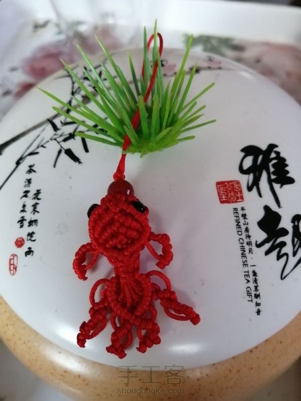 可爱的迷你小金鱼