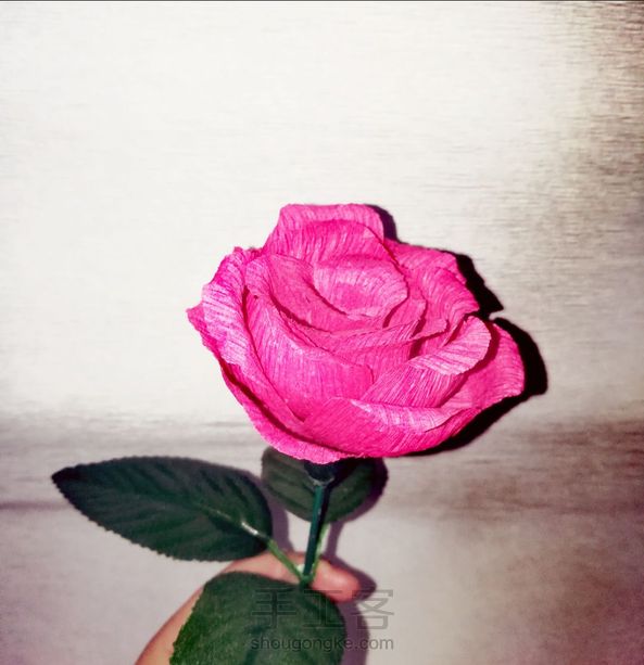 有些玫瑰花做着做着就变成了山茶花