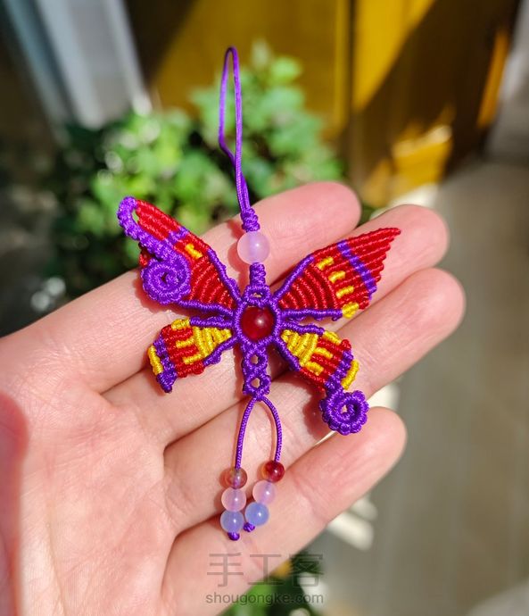 花蝴蝶