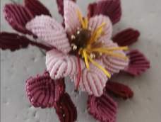 嘿嘿加了个镯子