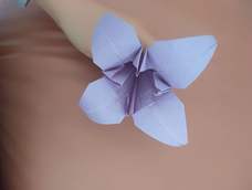 身为手残党的我又来凑数了😁