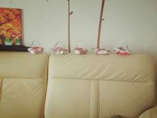 五个花篮🌸,美美哒,美美哒😜