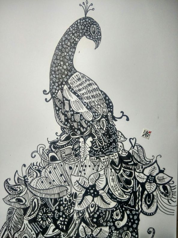 很好看的孔雀，学习了