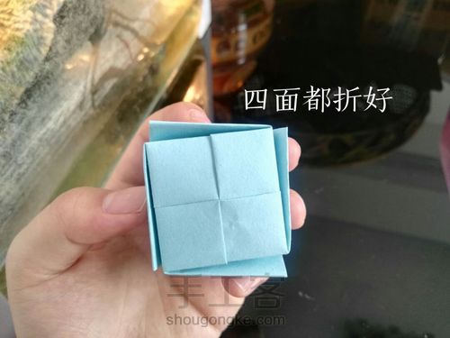 水晶玫瑰阶梯练习(一)单头玫瑰 第27步