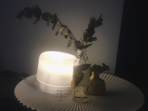 一只丘比沙拉瓶的前世今生 第5步