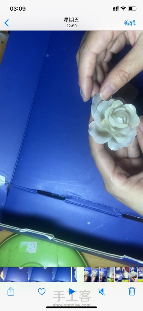 热缩手拿花枝之茶花 第8步