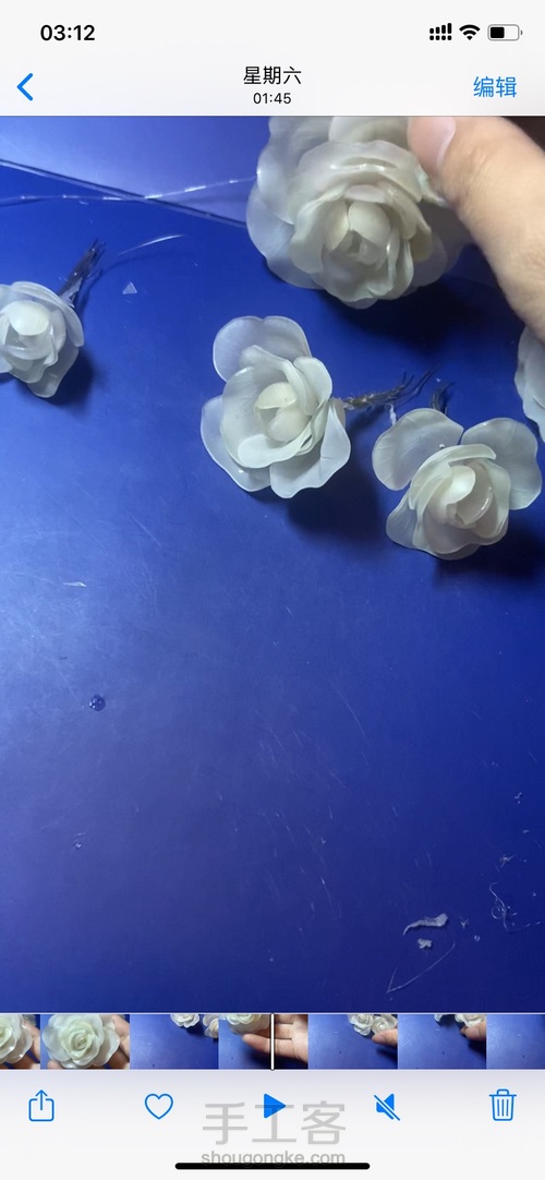 热缩手拿花枝之茶花 第10步