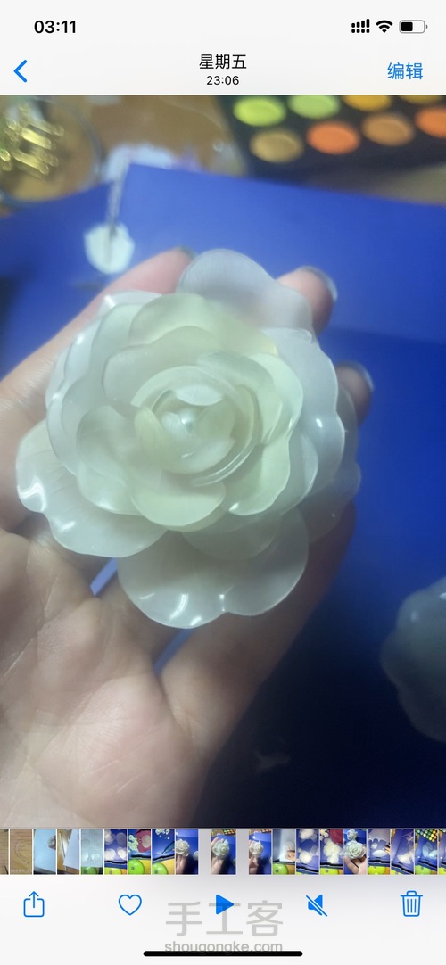 热缩手拿花枝之茶花 第9步
