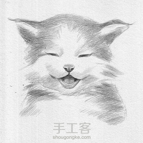 哈哈！我是笑猫 第3步