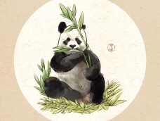 熊猫高高是一只保持童颜的崽崽，画得手法比七仔复杂一些，细节更多