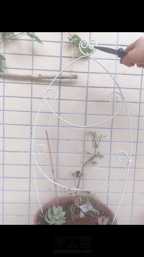 植物爬藤架 第5步