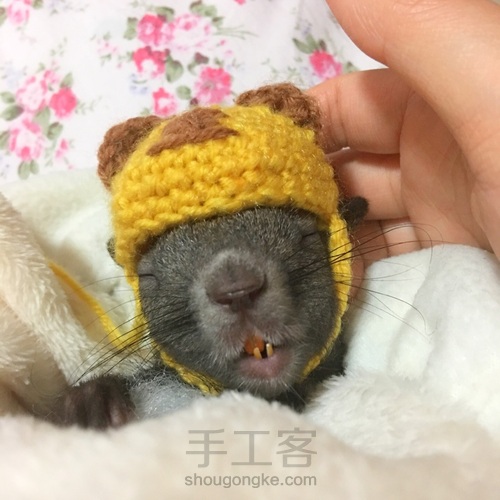 给魔王松鼠钩的小帽儿 第18步