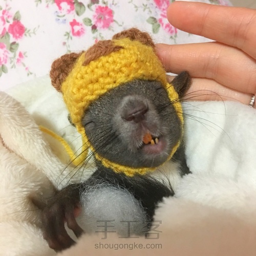 给魔王松鼠钩的小帽儿 第19步