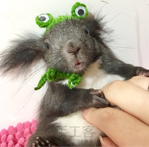 给魔王松鼠钩的小帽儿 第21步