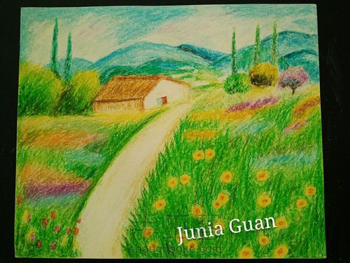 油画棒花海•﹏•厉害啦我的姐！原来油画棒还可以这么用，漂亮了 第1步