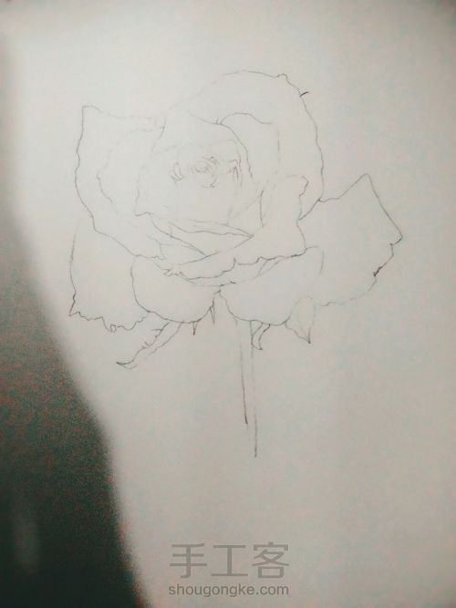 手绘水彩玫瑰 第2步
