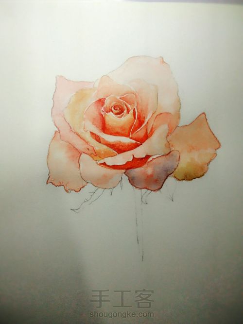 手绘水彩玫瑰 第5步