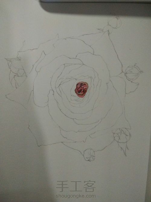 再来一支玫瑰花 第3步