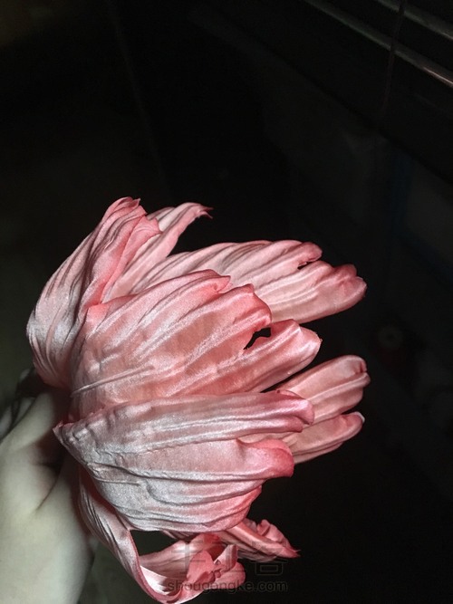 【阴阳师】神乐金鱼发饰教程 第10步