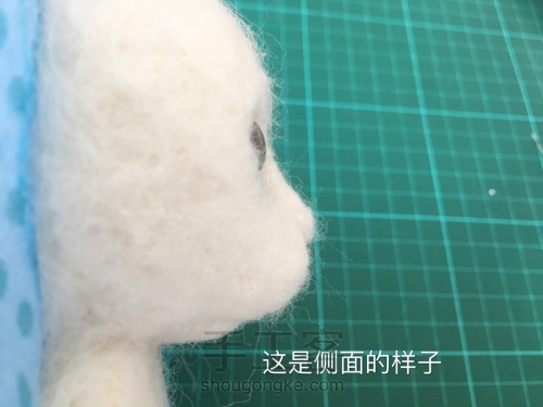 羊毛毡布偶猫相框 第8步