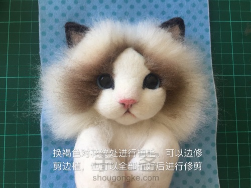 羊毛毡布偶猫相框 第18步