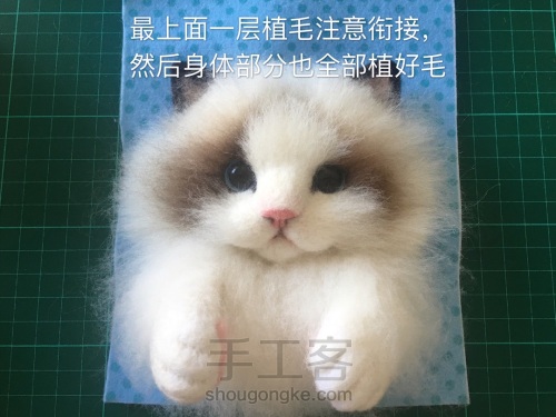 羊毛毡布偶猫相框 第19步