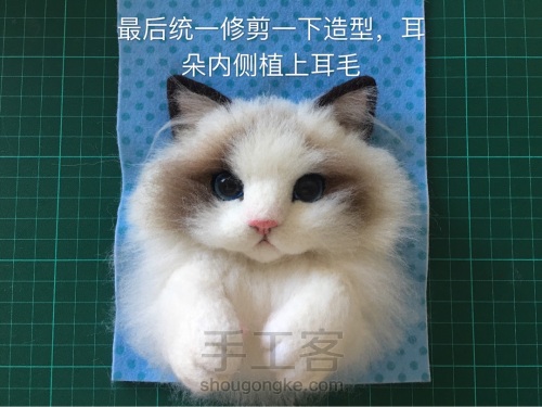 羊毛毡布偶猫相框 第21步