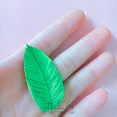 旅行青蛙的小屋 第38步