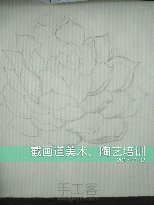 水彩“吉娃娃”教程 第1步