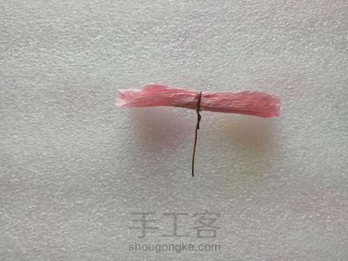 木槿花♪未开 第6步