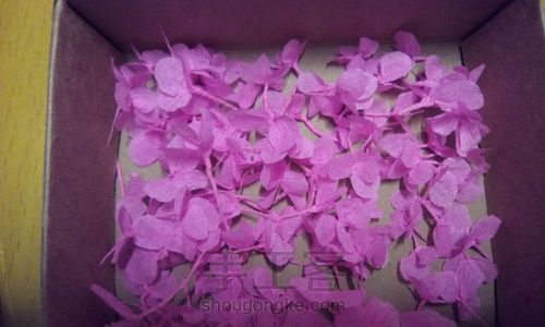 小花花 第6步