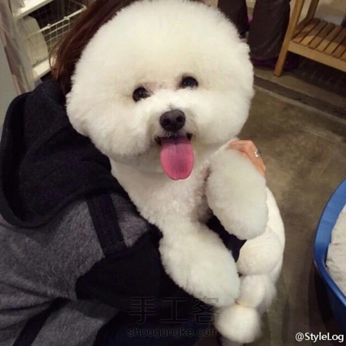 萌呆比熊球 第1步