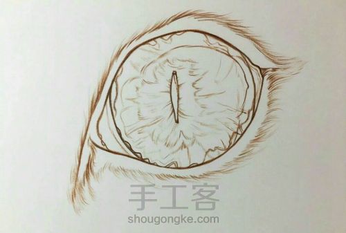 各种手绘～ 第8步