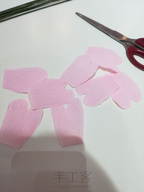 居家玫瑰花 第10步