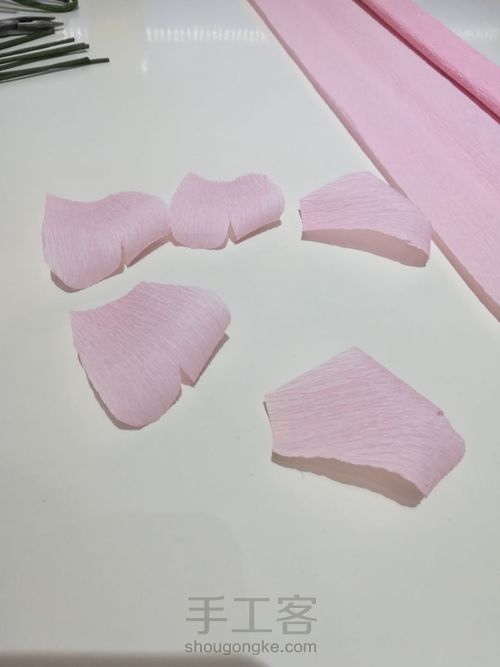 居家玫瑰花 第15步