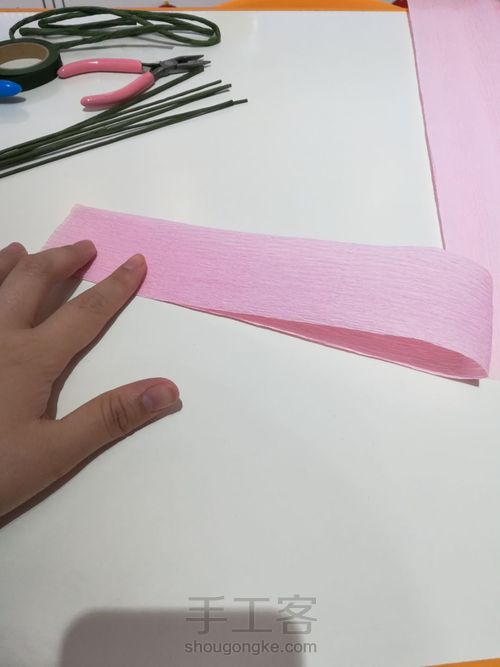 居家玫瑰花 第4步