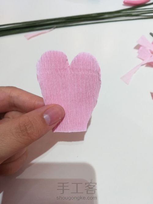 居家玫瑰花 第9步