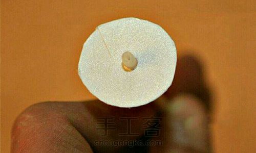 开心果壳小花 第2步