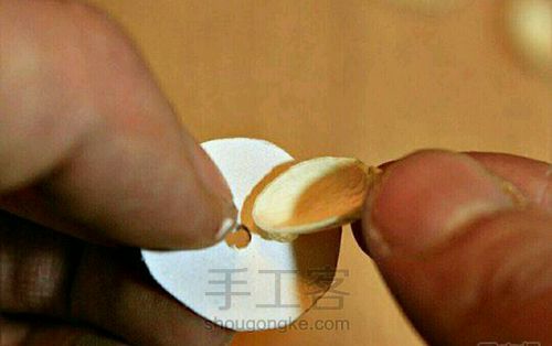 开心果壳小花 第3步