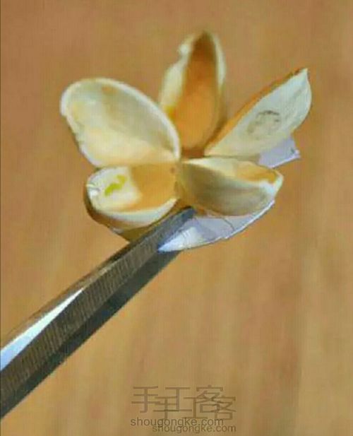 开心果壳小花 第4步