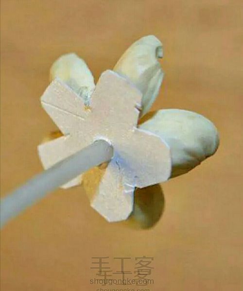 开心果壳小花 第5步