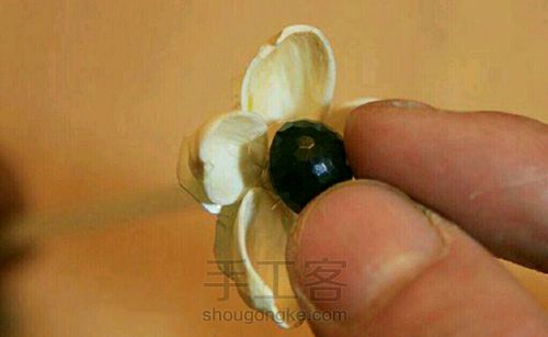 开心果壳小花 第6步