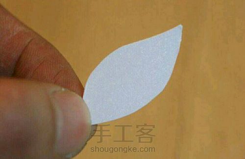 开心果壳小花 第7步