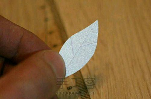 开心果壳小花 第8步