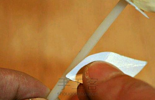 开心果壳小花 第9步