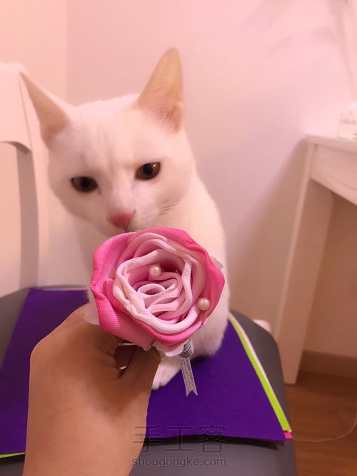 花漾系列之清新花笔 第25步